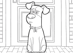 The Secret Life of Pets Dathú Ar Líne